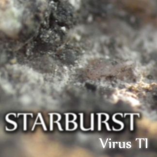 Starburst-TI